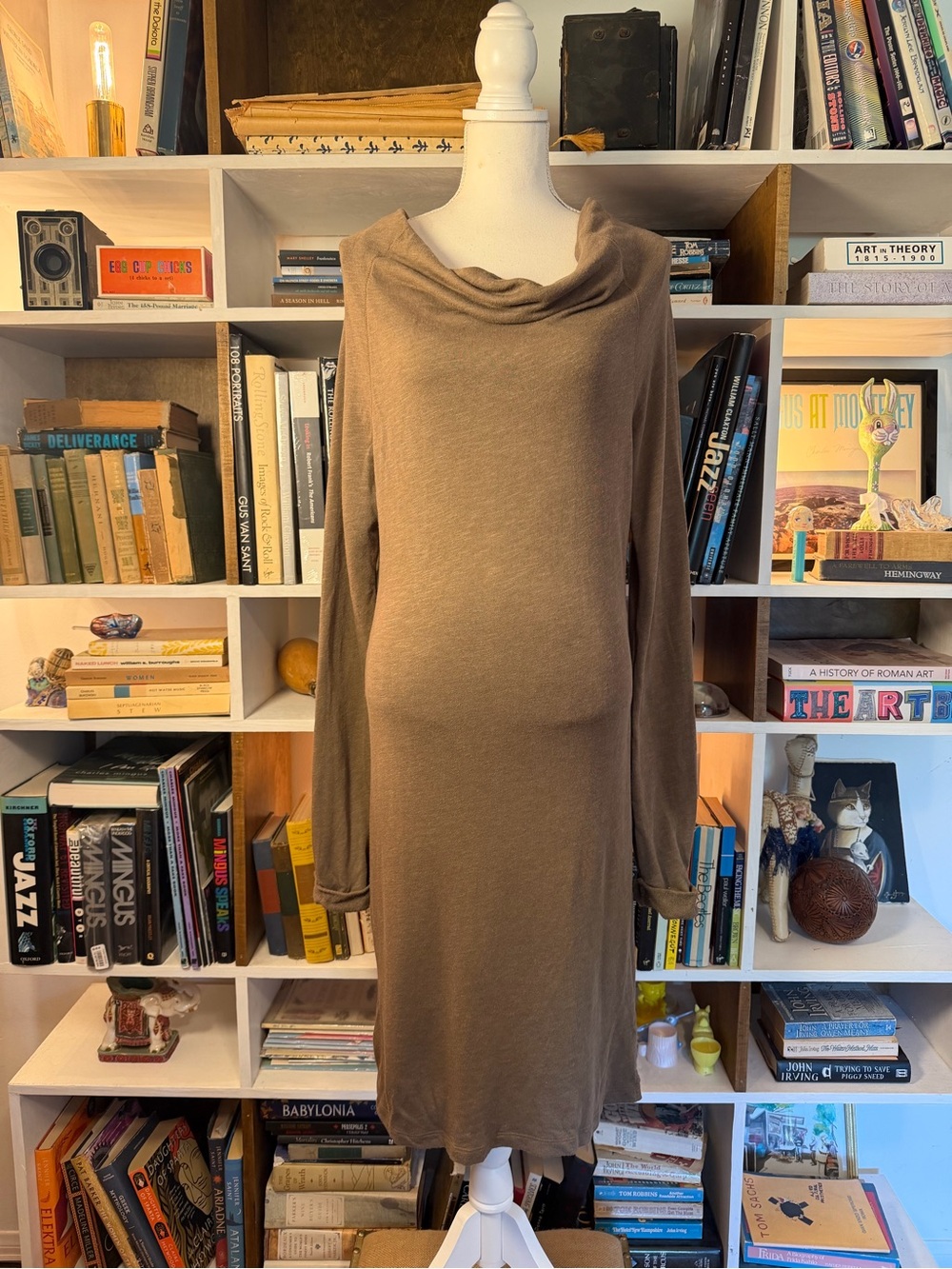 Women's Brown Cowl Neck Long Sleeve Dress